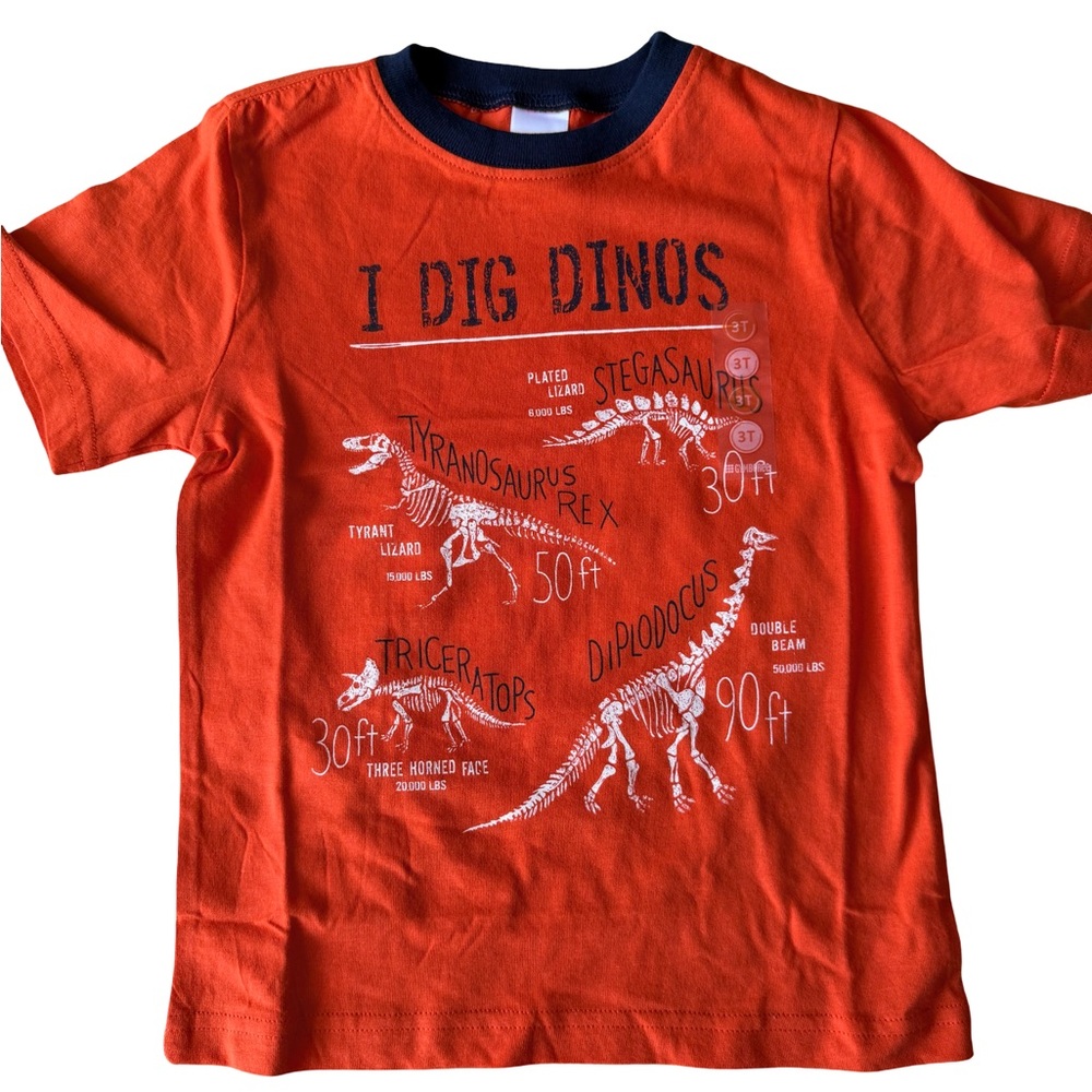 Gymboree orange and Blue Dinosaur Shirt